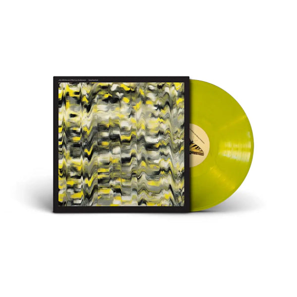 Jim White and Marisa Anderson - Swallowtail