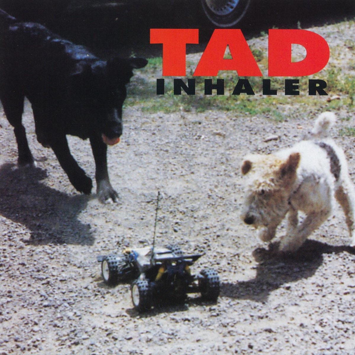 TAD - Inhaler