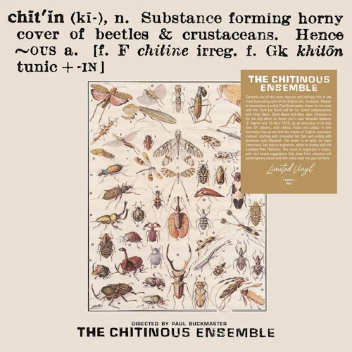 Chitinous Ensemble  -  Chitinous