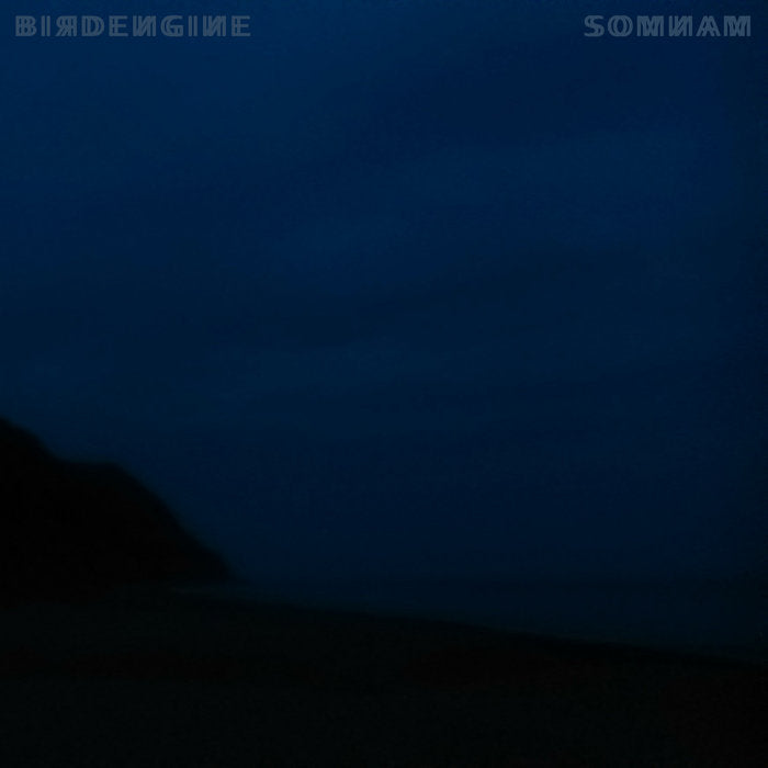 Birdengine - Somnam