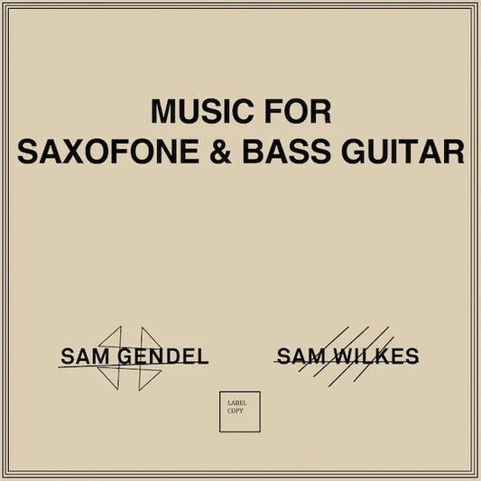 Sam Gendel & Sam Wilkes - Music For Saxophone & Bass Guitar