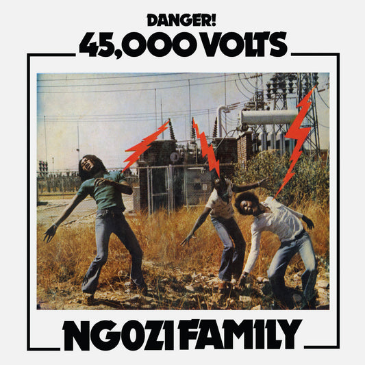 Ngozi Family - 45,000 Volts