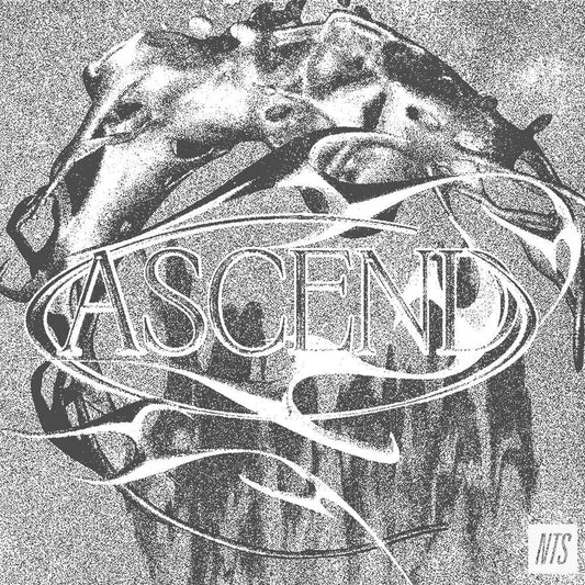 ASCEND - Various Artists
