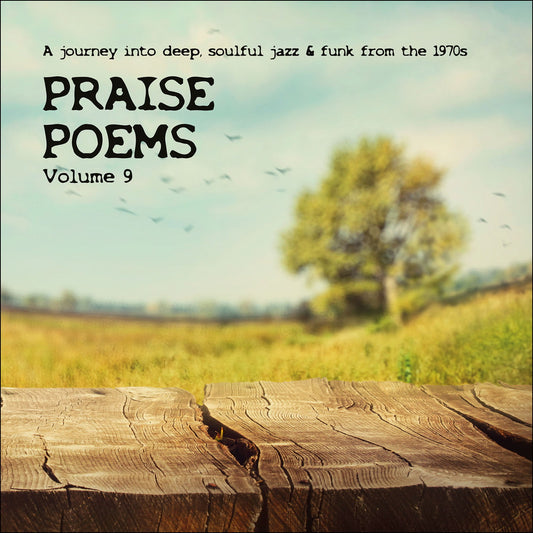 Praise Poems Vol.9 - Various Artists